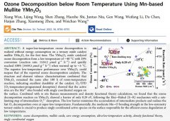 恭喜南開大學用YMn2O5實現(xiàn)無能耗超低溫臭氧分解