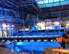 臭氧在水資源回收應(yīng)用中的前景