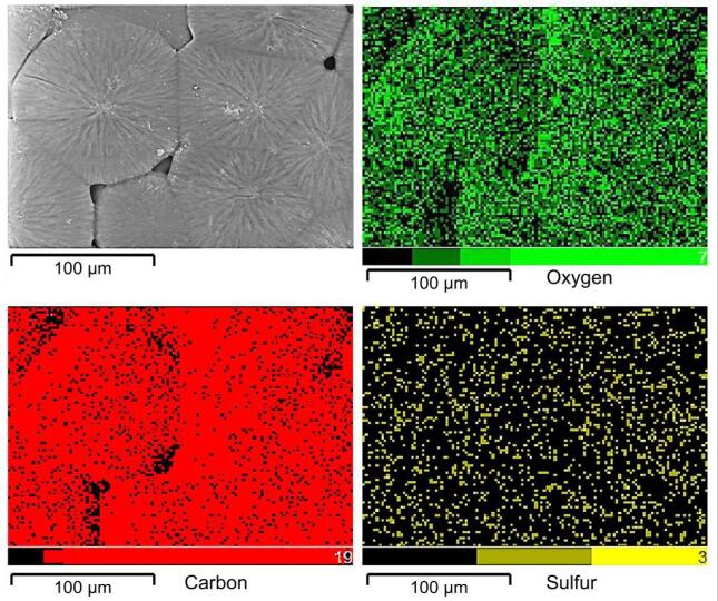 pNaSS 通過臭氧化和接枝聚合接枝到PCL表面研究
