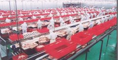 臭氧對肉制品車間消毒是如何進行的？